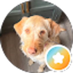 Profile photo of Kate M
