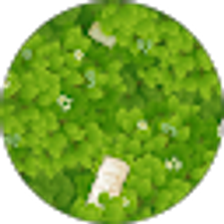 Profile photo of JACKSON NUNEZ HERNANDEZ