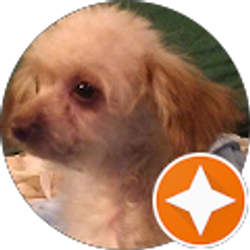 Profile photo of Doug Arnold