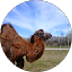 Profile photo of anton axelsson (antebante)