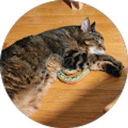 Profile photo of Carol Hoppe