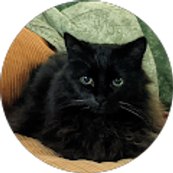 Profile photo of Kathy Draper