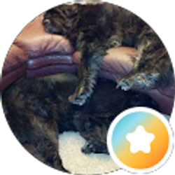 Profile photo of Merle Kelly