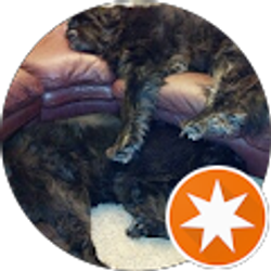 Profile photo of M LANGSTON