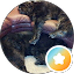 Profile photo of Merle Kelly