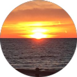 Profile photo of Scott Parker