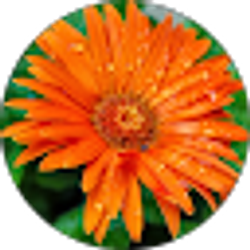 Profile photo of Deborah LaPierre