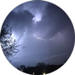 Profile photo of Anthony Lozano