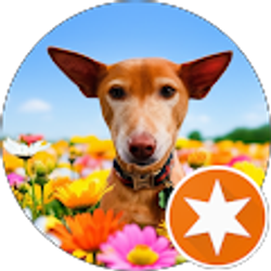 Profile photo of Chandler