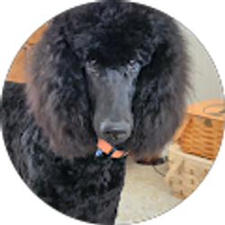 Profile photo of Pamela Smith