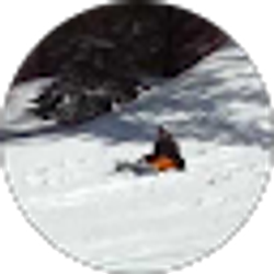 Profile photo of M G