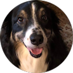 Profile photo of Hannah Gilbert