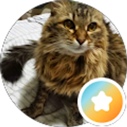 Profile photo of Vicki Alexander