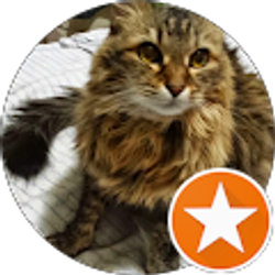 Profile photo of Vicki Alexander