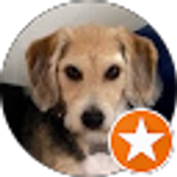 Profile photo of Kevin D