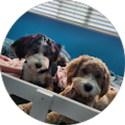 Profile photo of Maycee Ruiz