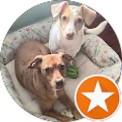 Profile photo of terri blow