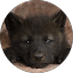 Profile photo of Hei “Black Reaper” Darkfire