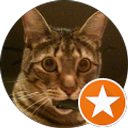 Profile photo of Mike Wilson