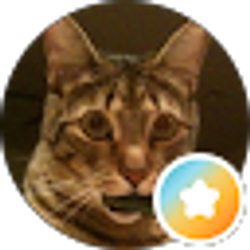 Profile photo of Mike Wilson