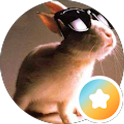Profile photo of Cass ha