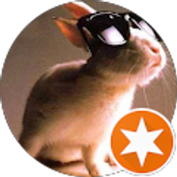 Profile photo of Cass ha