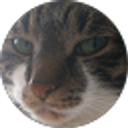 Profile photo of Antonia Maurici