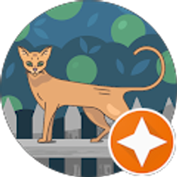 Profile photo of Cathy Barber