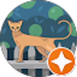 Profile photo of Cathy Barber