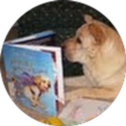 Profile photo of Le&Lo Sawyer