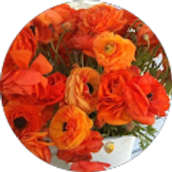 Profile photo of Lynn Evans