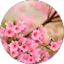 Profile photo of Annette McCans