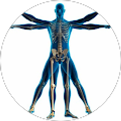 Profile photo of Karen Alcoe