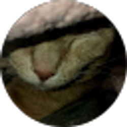 Profile photo of Taylor Jevne
