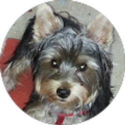 Profile photo of jacci tvrdik