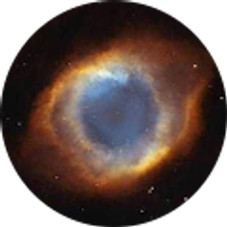 Profile photo of Robert Healey