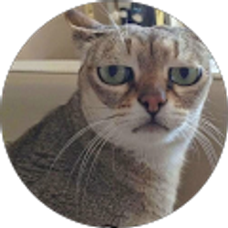 Profile photo of Angel Angel