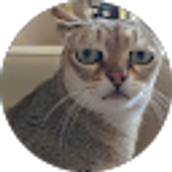 Profile photo of Angel Angel