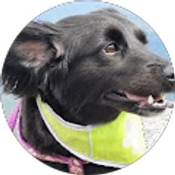 Profile photo of Lisa Gagnon