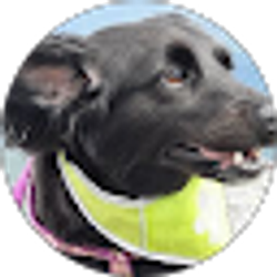 Profile photo of Lisa Gagnon