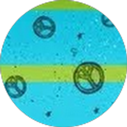 Profile photo of kiara bermudez