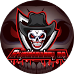 Profile photo of Stupidcowboy