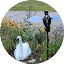 Profile photo of Mary Gentes