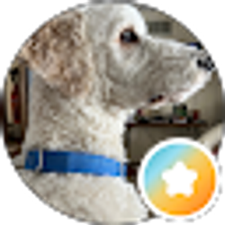 Profile photo of Lynn Thieman