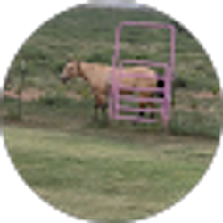 Profile photo of Richard Johnson