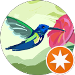 Profile photo of Debbie Phillips