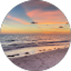 Profile photo of Nachelle Wallace