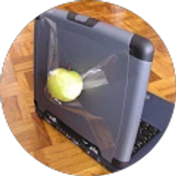 Profile photo of Yang Frank