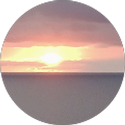 Profile photo of The One