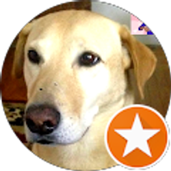 Profile photo of Narayan & Sangeetha